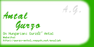 antal gurzo business card